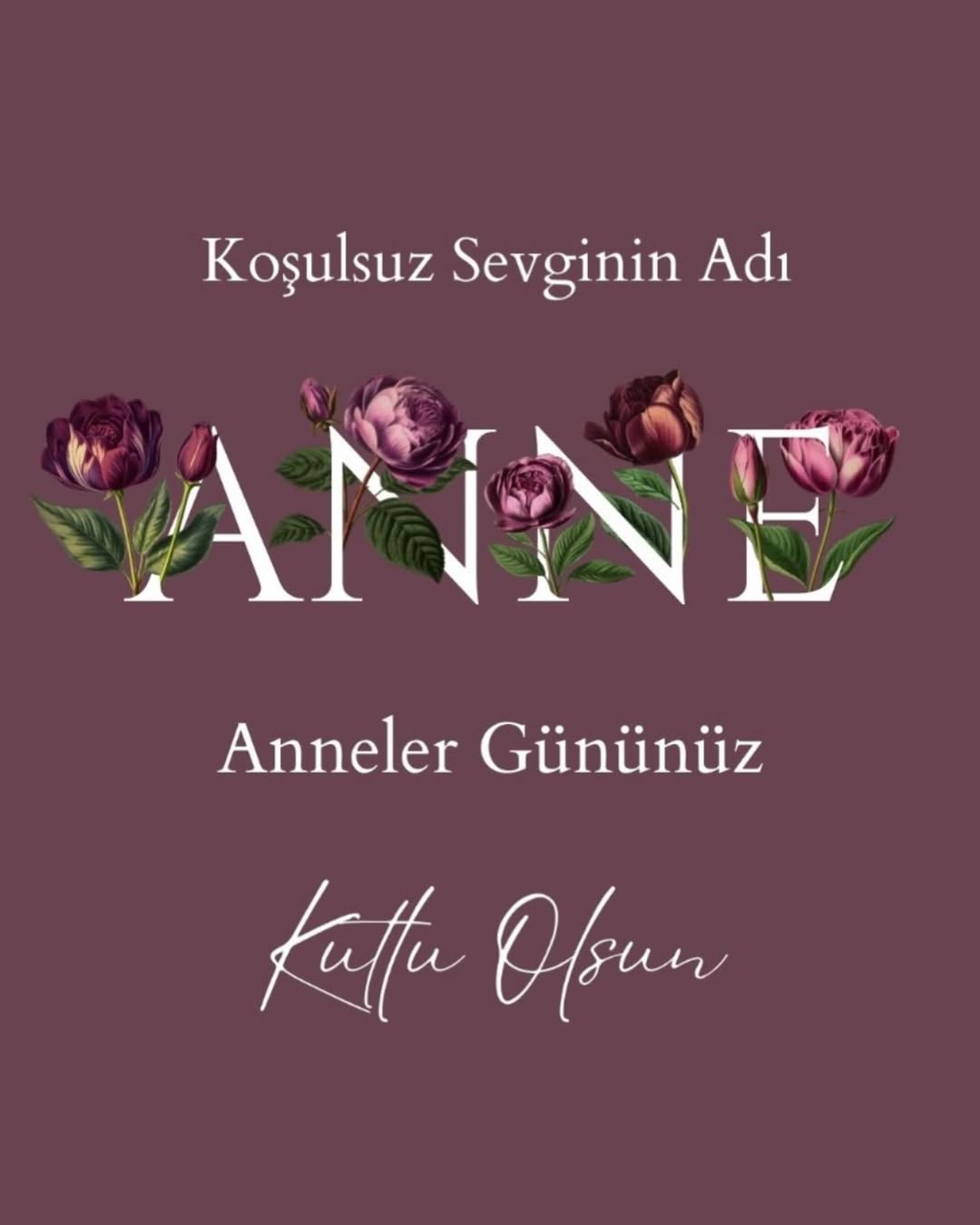 Mat Olea Zeytinyağları