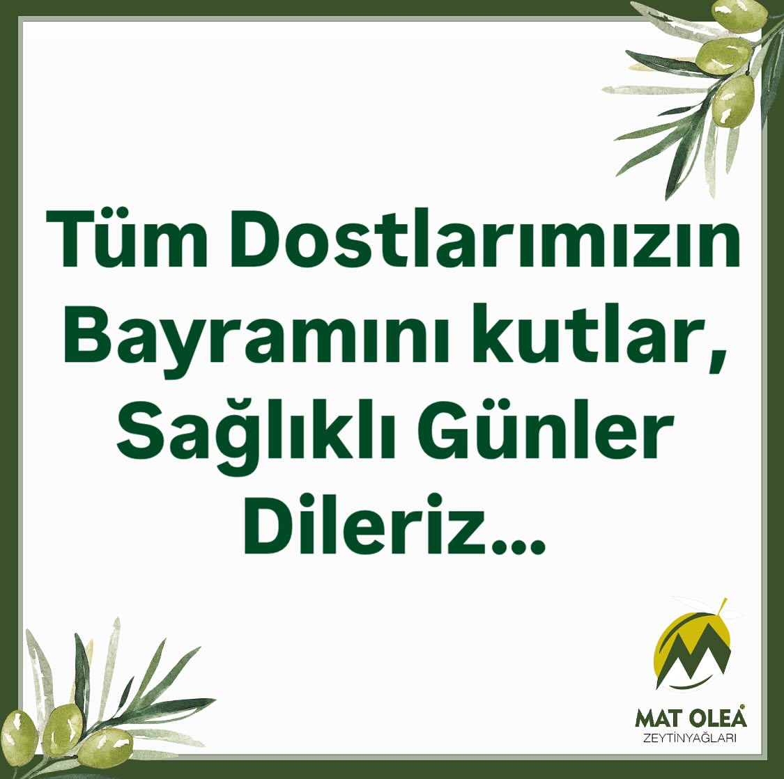 Mat Olea Zeytinyağları