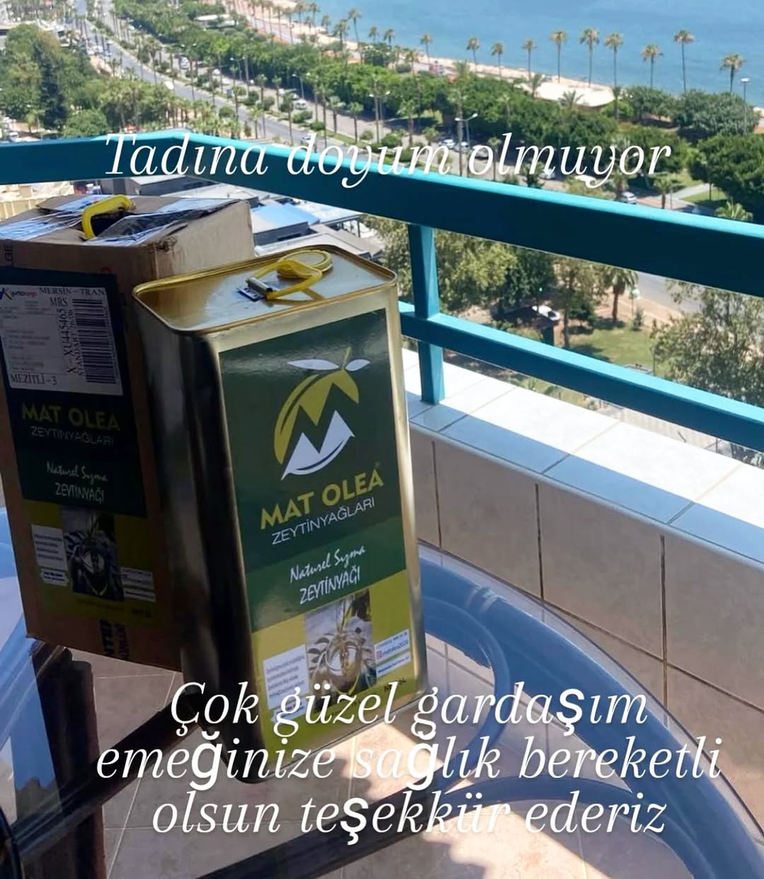 Mat Olea Zeytinyağları