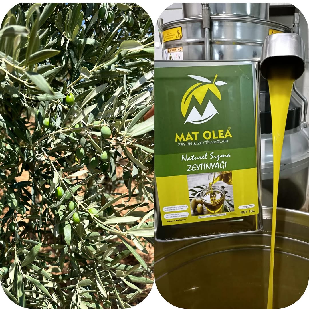 Mat Olea Zeytinyağları