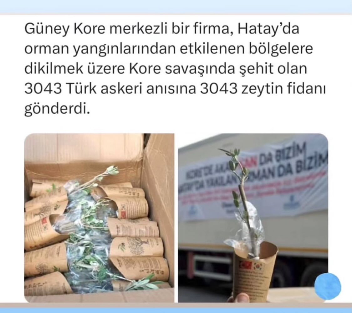 Mat Olea Zeytinyağları
