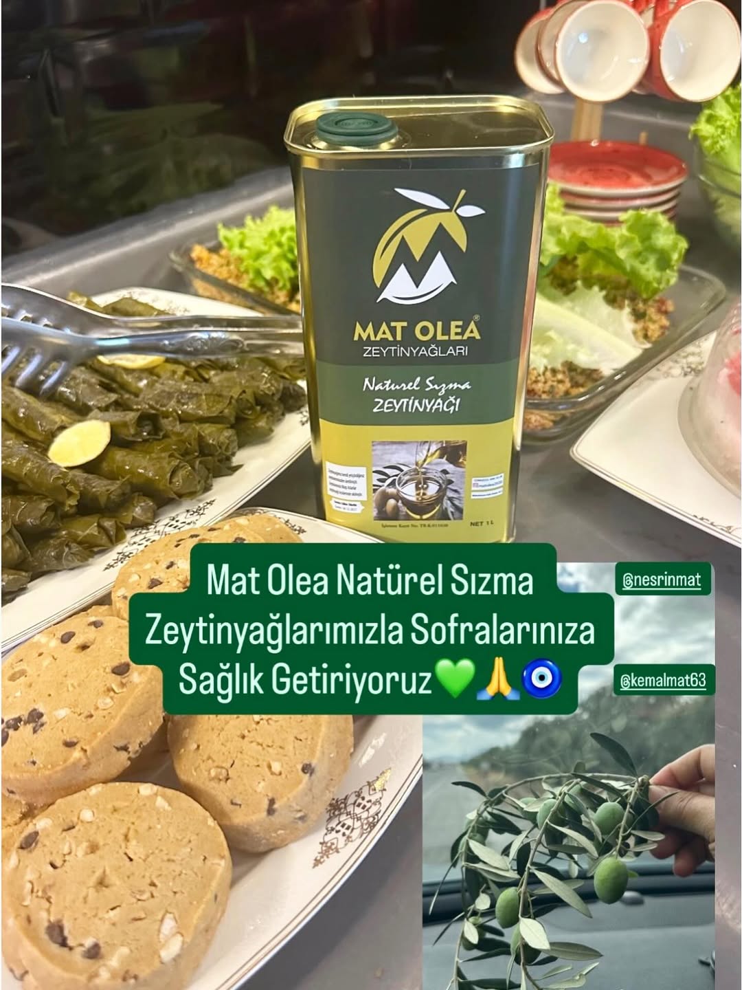 Mat Olea Zeytinyağları