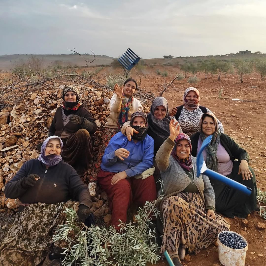 Mat Olea Zeytinyağları