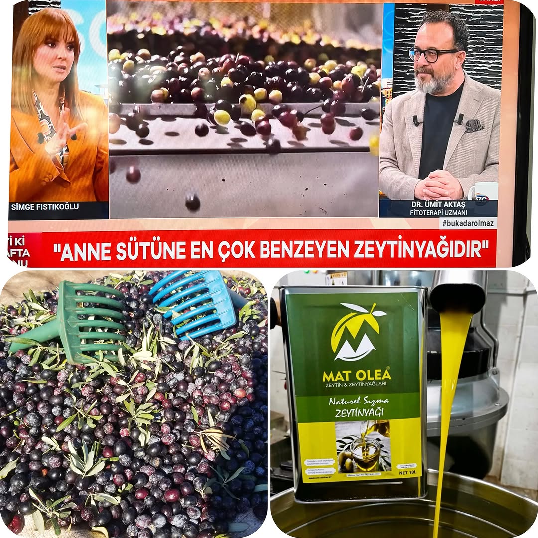 Mat Olea Zeytinyağları
